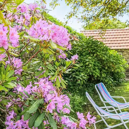 Gorgeous In With Wifi Ferienhaus *