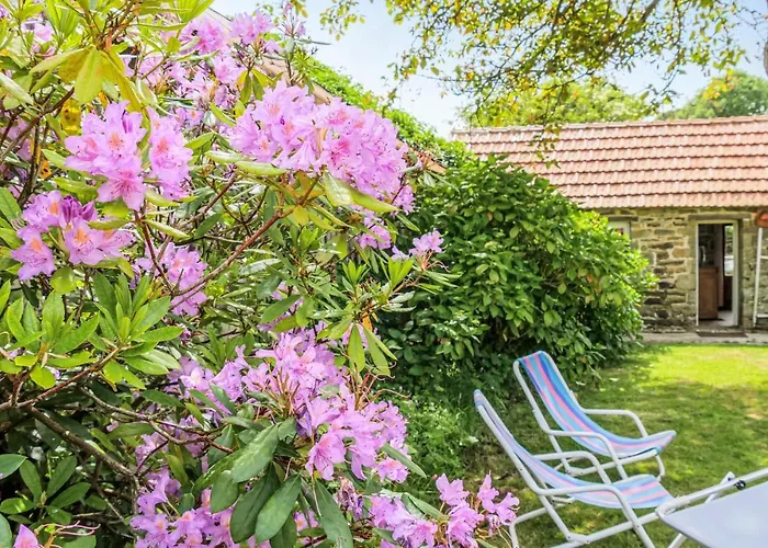 Gorgeous In With Wifi Ferienhaus *